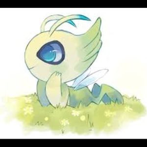 Meet your Posher, Mackenzie